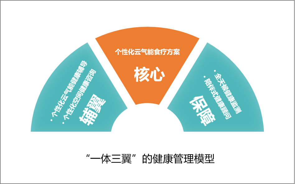 一体三翼.png